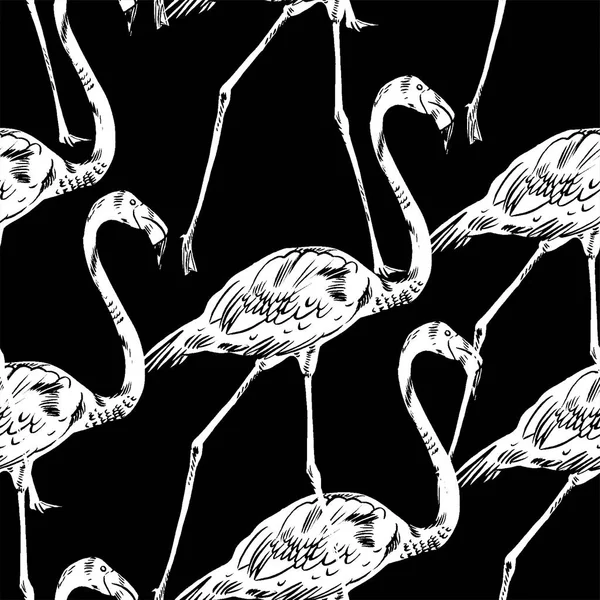 Ilustração vetorial flamingo rosa —  Vetores de Stock