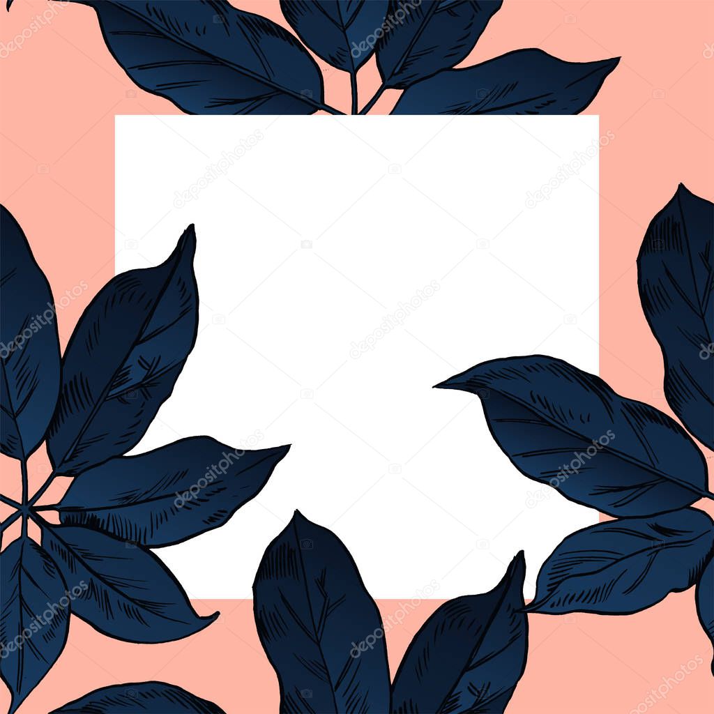 Exotic flowers set. Botanical vector vintage illustration.