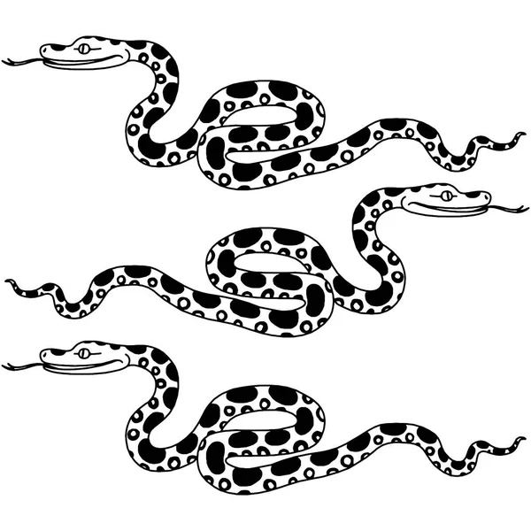 Illustrazione vettoriale del serpente tropicale — Vettoriale Stock