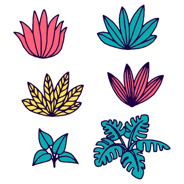 Vector plantas tropicales y hojas — Archivo Imágenes Vectoriales