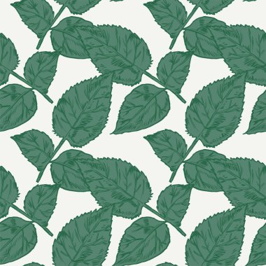 El-çizim peonies. Vektör grafik çiçekler. Kartları, davetiyeler için dekoratif arka plan. Şablon tebrik kartı.