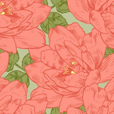 El-çizim peonies. Vektör grafik çiçekler. Kartları, davetiyeler için dekoratif arka plan. Şablon tebrik kartı.