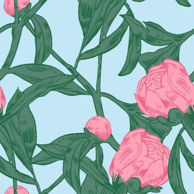 El-çizim peonies. Vektör grafik çiçekler. Kartları, davetiyeler için dekoratif arka plan. Şablon tebrik kartı.
