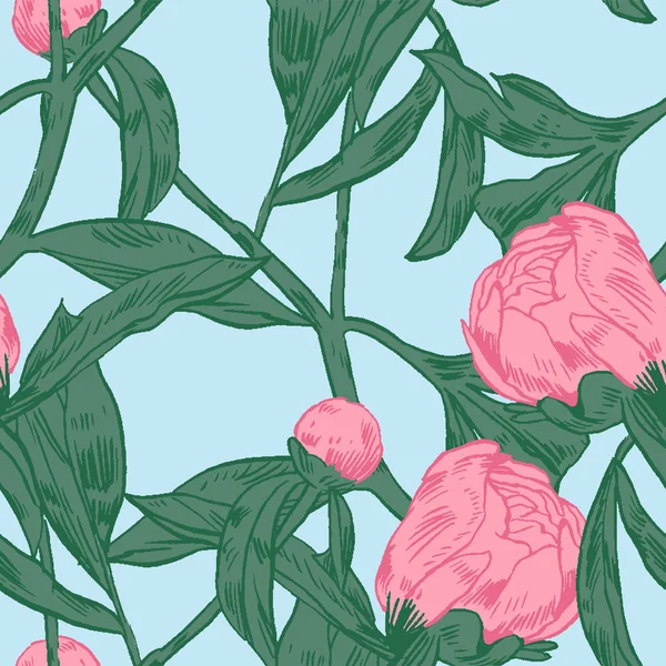 El-çizim peonies. Vektör grafik çiçekler. Kartları, davetiyeler için dekoratif arka plan. Şablon tebrik kartı.