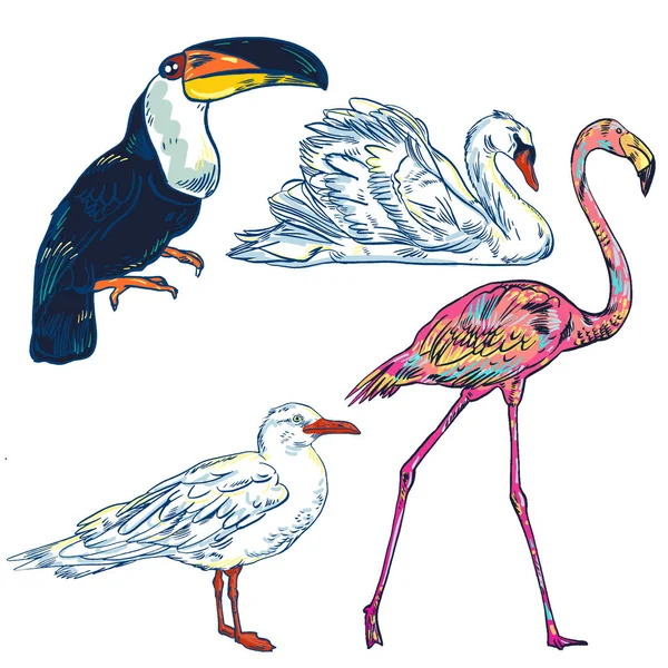 Super Reihe von niedlichen Zeichentrickvögeln — Stockvektor