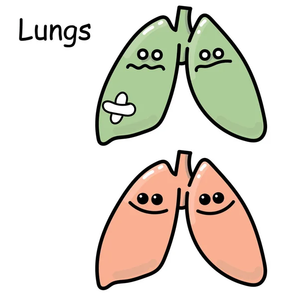 Stock Ilustración Vector Dibujo Órganos Internos Pulmones Dibujo Para Niños — Archivo Imágenes Vectoriales