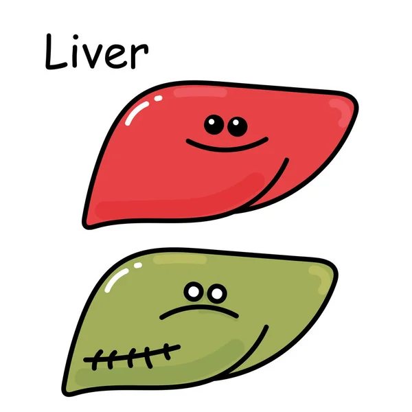 Desenho Vetor Ilustração Estoque Órgão Interno Fígado Comparação Órgão Saudável —  Vetores de Stock