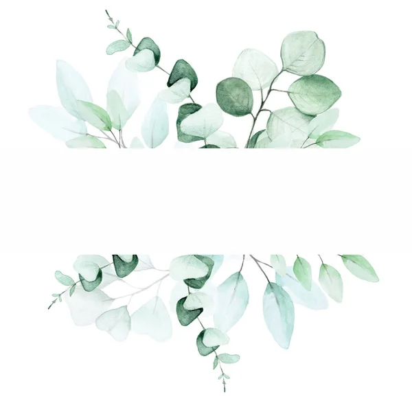 图为水彩画 桉树叶子的框架 卡片装饰 婚宴请柬 案文的篇幅 — 图库照片