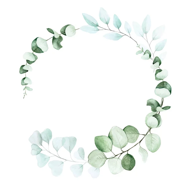 Stock Illustration Watercolor Drawing Frame Eucalyptus Leaves Graphic Design Element — Stock Photo, Image