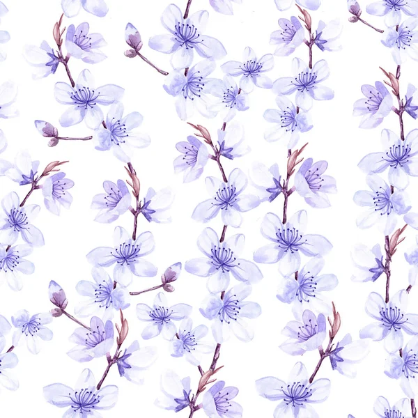 Motif Sans Couture Sakura Fleurs Dessin Aquarelle Couleur Bleue Sur — Photo
