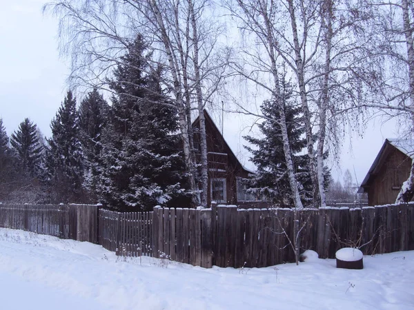 Old village house in winter. Trees and wooden fence in the snow. Village house on the outskirts of the forest. Christmas trees in the snow near the hut. Winter rural landscape.