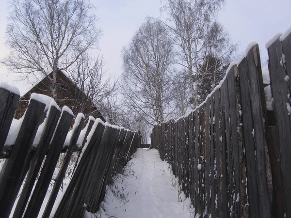 The passage between the fences in the village in winter. Perspective. Wooden fence and the roof of the house in the snow. Village scene. Rustic winter landscape. Trees on a background of blue sky.