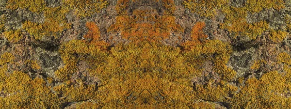 Orange Abstrakt Grunge Bakgrund Lavendelmönster Stenar Mossa Och Lavar Klipporna — Stockfoto