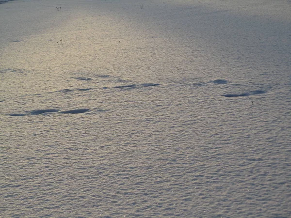 Glatte Schneedecke Der Perspektive Weiße Schneebedeckte Oberfläche Licht Des Sonnenuntergangs — Stockfoto