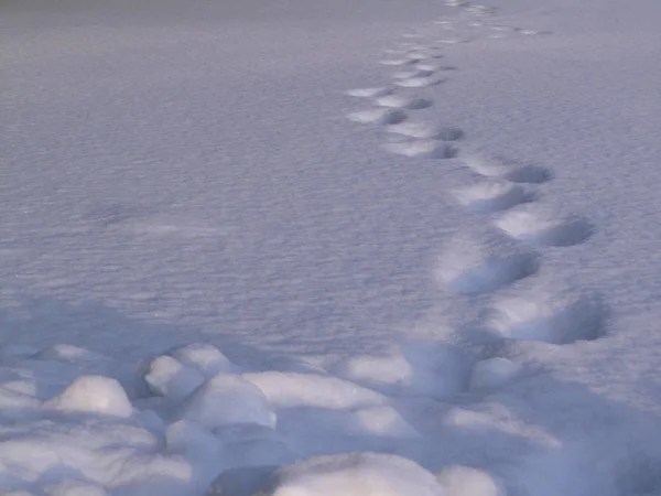 Tracce Passi Umani Una Superficie Nevosa Liscia Impronte Nella Neve — Foto Stock