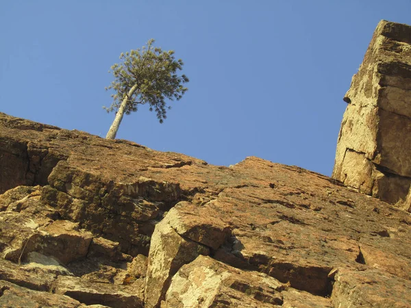 Горный Пейзаж Пик Камень Фоне Голубого Неба Дерево Вершине Утёса — стоковое фото
