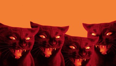 Kırmızı turuncu arka plan ve birkaç siyah kedi. Duygularını ifade eden, bakışları olan ve ağzı açık bir grup kedi. Metin için kopyalama alanı olan parlak kırmızı pankart. Trend rengi 2020.