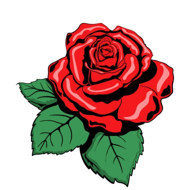 Kırmızı bir gülün vektör görüntüsü. Çiçek tasarım elementi. Dövme Kırmızı Gül.