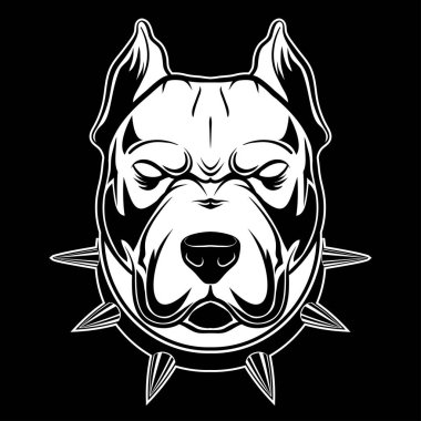 Pitbull Çivilenmiş Yaka Vektörü