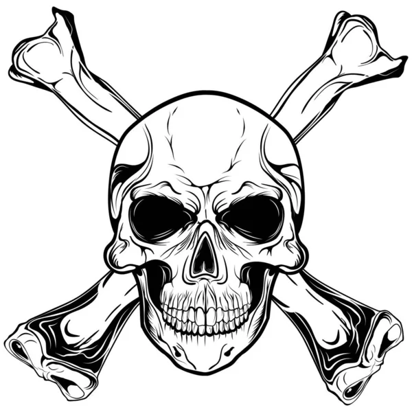 Skull Vector Head Face Bones — Stockový vektor