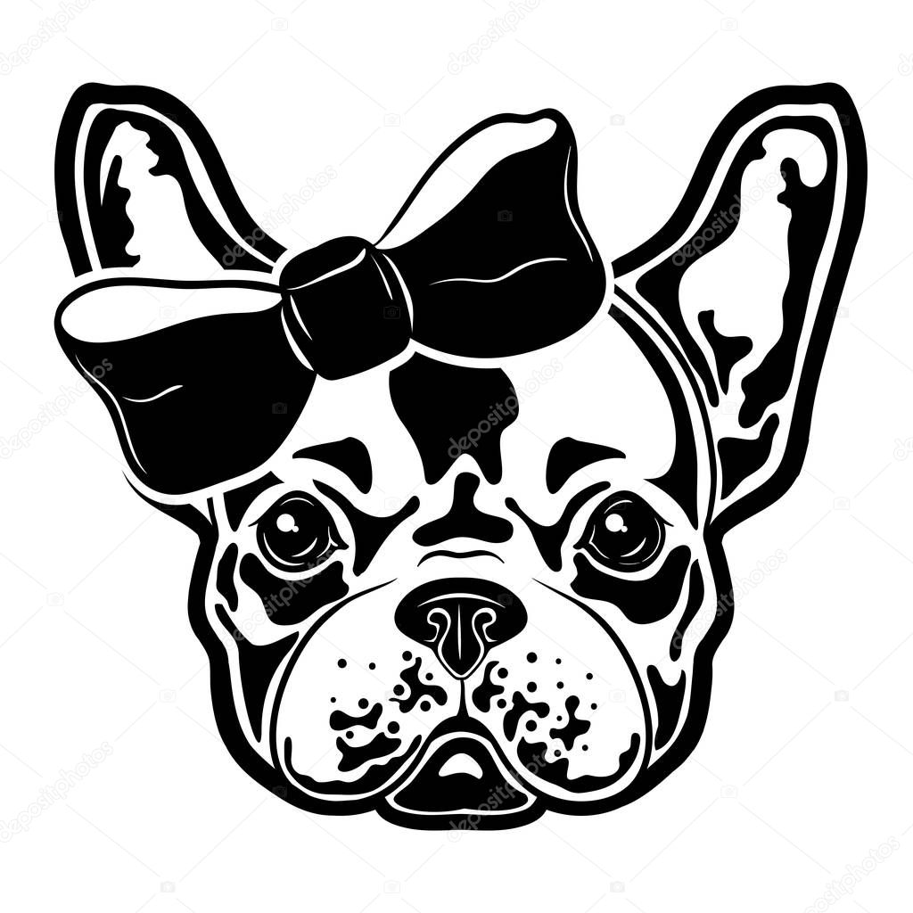 Vector illustration of a french bulldog with a bow. French bulldog girl.