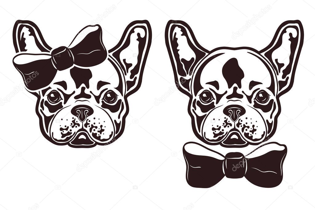 Vector illustration of french bulldogs with bows. French bulldogs girl and boy.