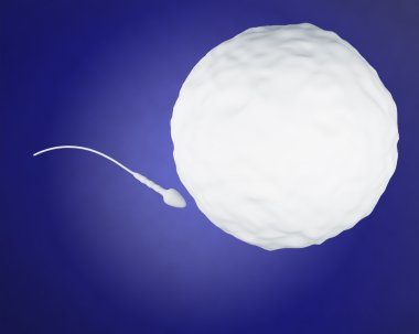 3d Spermatozoons için Ovule gidiyor.