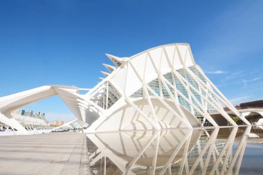 Sanat ve Bilimler, Valencia şehir.