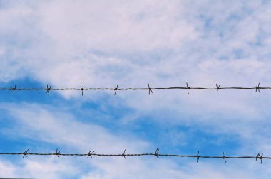 Mavi gökyüzüne karşı dikenli tel.