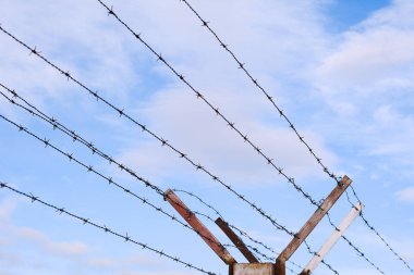 Mavi gökyüzüne karşı dikenli tel.