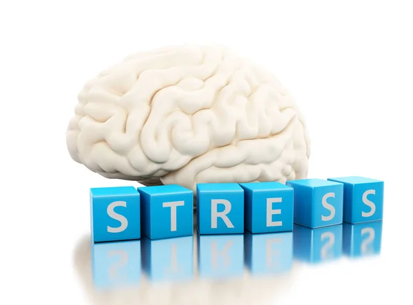 3D, ludzki mózg ze słowem stres w kostkach — Zdjęcie stockowe