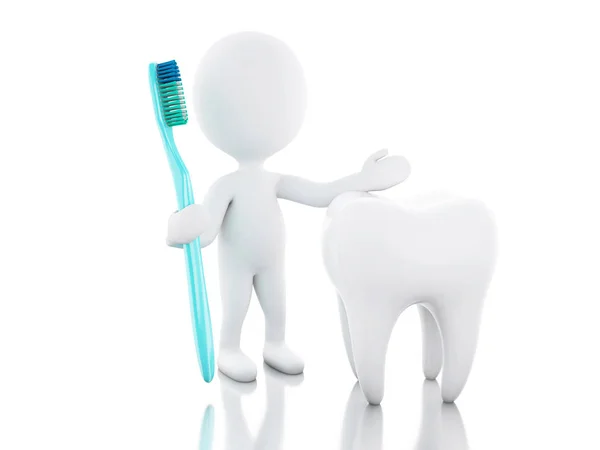 3d White people with toothbrush and tooth. — Stock Photo, Image