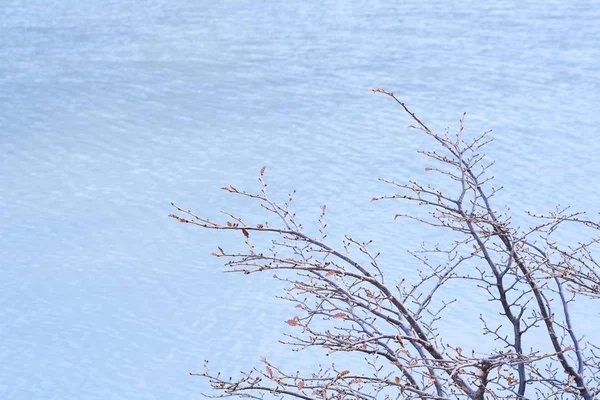 உஷுவாயாவில் உள்ள எமரால்ட் ஏரி (Laguna Esmerald) . — ஸ்டாக் புகைப்படம்