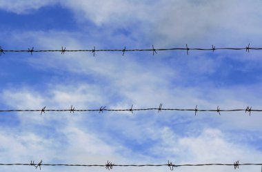 Mavi gökyüzüne karşı dikenli tel.