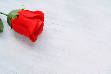 kopya alanı ile kırmızı gül