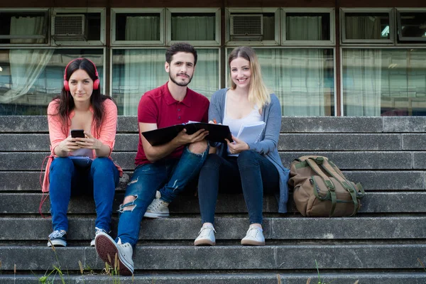 Gruppe von Universitätsstudenten, die gemeinsam im Freien lernen — Stockfoto