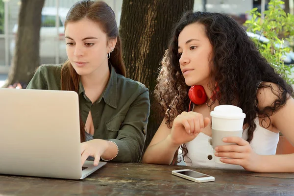 Freundinnen lernen mit Laptop in einem Café. — Stockfoto