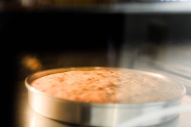 Kek fırında pişirilir