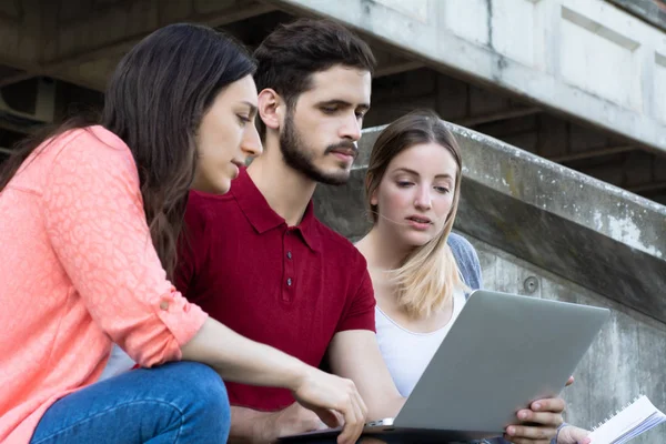 Gruppe von Universitätsstudenten, die gemeinsam im Freien lernen — Stockfoto