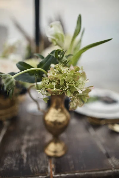 Vaso com planta na mesa de madeira — Fotografia de Stock