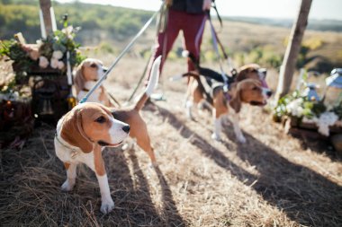 adam komik kukla ile 