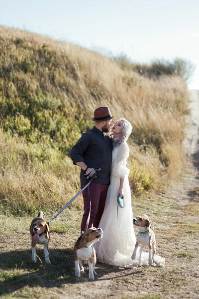 Köpeklerle genç Çift — Stok fotoğraf