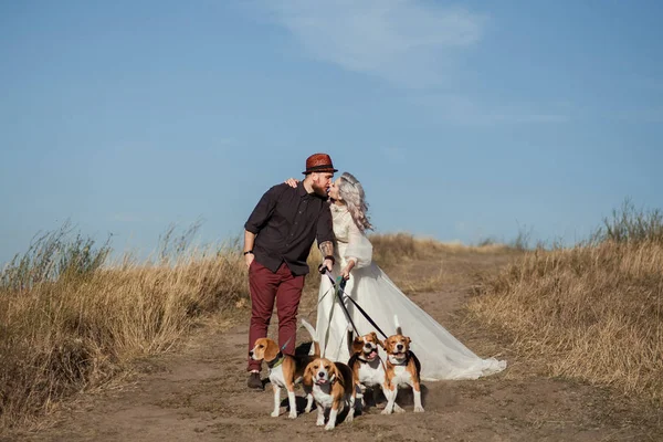 Köpeklerle genç Çift