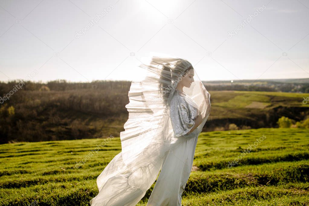 beautiful girl with veil