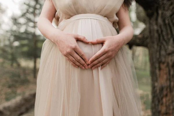 Mulher grávida com as mãos na barriga — Fotografia de Stock