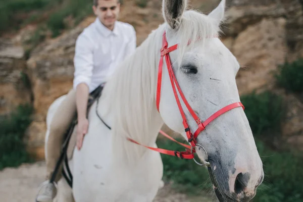 Mladý kluk jezdecké koně — Stock fotografie