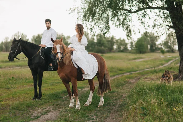 Paar paardrijden paarden — Stockfoto