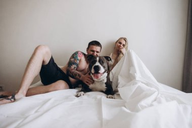 Çift ile köpek yatakta yatarken 