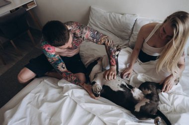 Yatağın üstüne oturan ve köpek palming genç çift