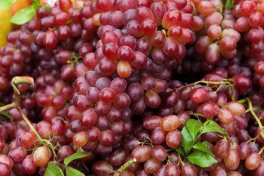 Kırmızı Şaraplık